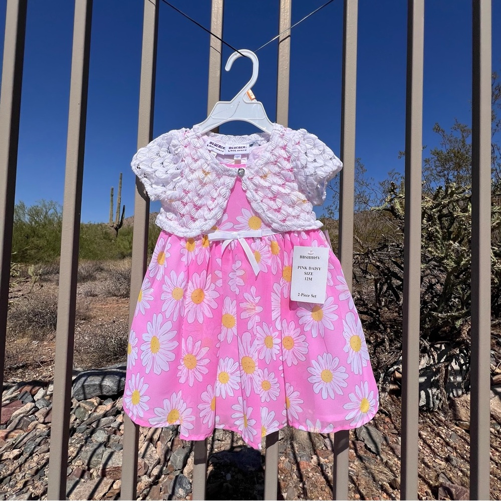 ⬇️💲Blueberi boulevard NWT Baby’s Dress Size 12Mos Color Pink Daisy 2-Piece